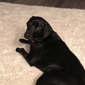 Meet your Posher, Terrie